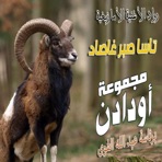 Tassa Sbar Ghassad - Single