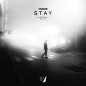 Stay (Extended Mix) artwork