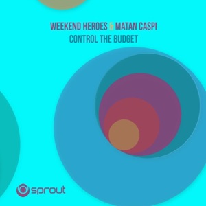 Control the Budget (Alex Stein Remix)