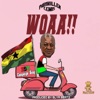 Woaa(Ndc Campaign Song) - Single