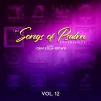 Songs of Psalms Experience, Vol. 12 - Evangelist John Kola-Idowu