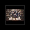 STRAY DOGs