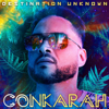 Banana (feat. Shaggy) [DJ FLe Minisiren Remix] - Conkarah