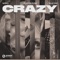 Crazy - NERVO, Plastik Funk & Elle Vee lyrics
