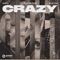 NERVO, Plastik Funk, Elle Vee - Crazy (Extended Mix)
