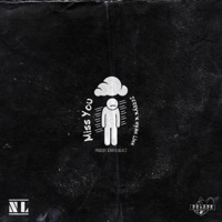 Miss You (feat. Nyan Liunn) - Single - Jerryx