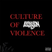 Culture of Violence