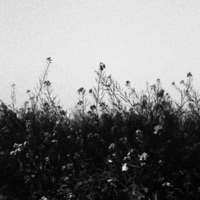 Element - Single - NooSense