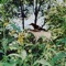 Nanny - Dustin Mayle lyrics