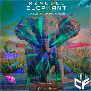 Elephant - Single