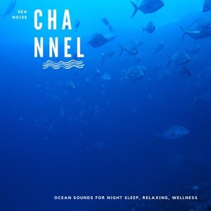 Ocean Sounds for Night Sleep, Relaxing, Wellness