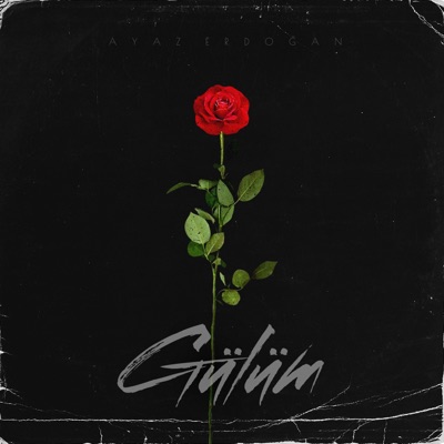 Gülüm - Single