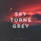 Sky Turns Grey artwork