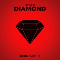 Black Diamond - Single - Rok Nardin