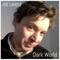 DW-Flare - Joe Landis lyrics