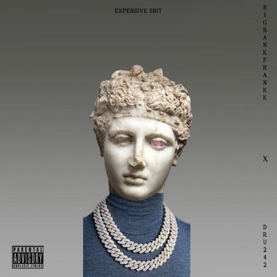 Expensive Shit (feat. Dru242) - Single