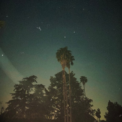 Year Long Daydream - Single