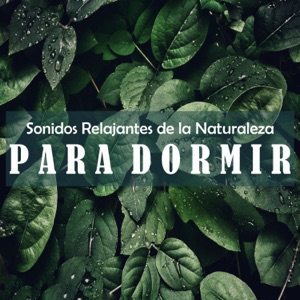 Sonidos Relajantes de la Naturaleza Para Dormir