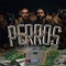 Perros (feat. Ezzatoni) - Doble J lyrics