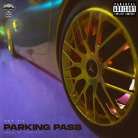 Parking Pass - Single - Tnt 313