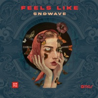 Feels Like - Single - Sndwave