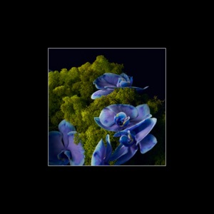 Violet (feat. Claudia Squitieri & Jay-Jay Johanson)