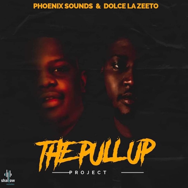 The Pull up Project (feat. Phoenix sounds) - Single