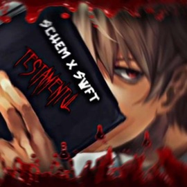 Testamentul (feat. Schheem) swft