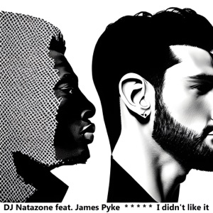 I Didn't Like It (feat. James Pyke)