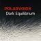 Winter Solstice Für Letze Generation - PolarVoidX lyrics