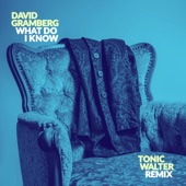 What Do I Know (Tonic Walter Remix) artwork