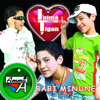Inima De Tigan - Babi Minune