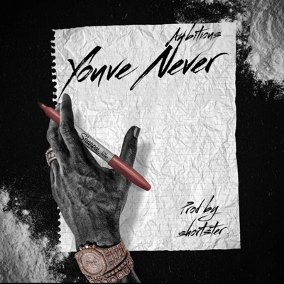 You've Never - Single