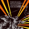 Pure Reason Revolution