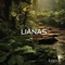 Kapok - Lianas lyrics