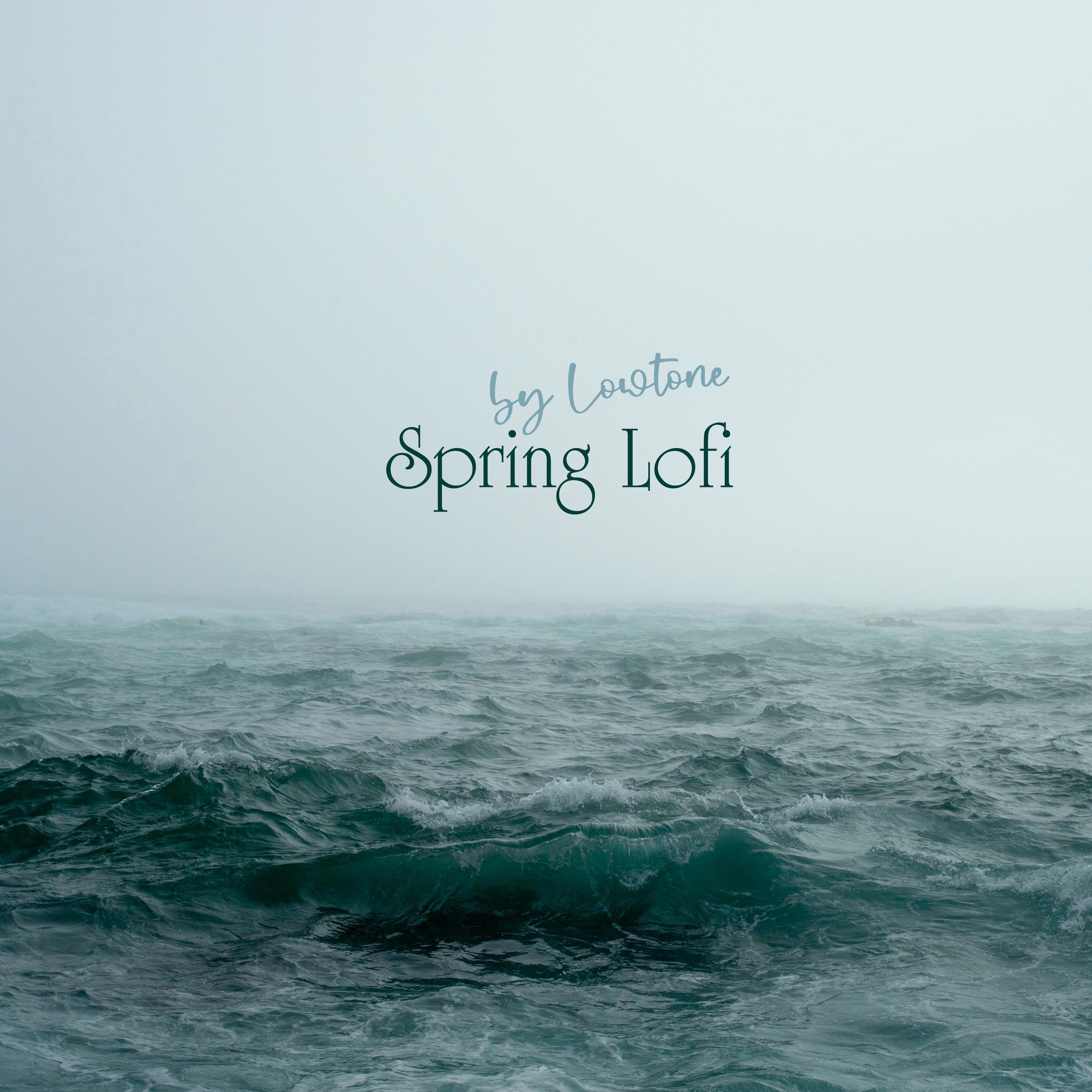 Spring Lofi - Single