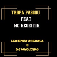 Tropa Passou (feat. MC NEGRITIN) - Single - Leozinho Acerola & DjWaguinho