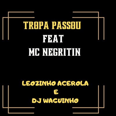 Tropa Passou (feat. MC NEGRITIN) - Single