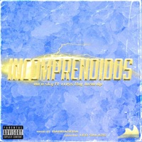 Incomprendidos (feat. Criss & Luzio dp) - Single - Nico Sky