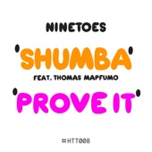 Shumba (feat. Thomas Mapfumo) artwork