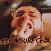 Flow Sube Ceja - Single - KRZ el Intelectual