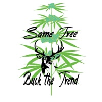 Same Tree (feat. Daylon Ray Norman) - Single - Buck the Trend