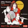 Offer Nissim - Ain't No Mountain (feat. The Bitches)