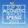 Top 20 Acoustic Tracks Spring 2023 (Instrumental)