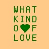 What Kind of Love (Extended Mix) cover art
