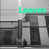 Leaves (Radio Edit) cover art