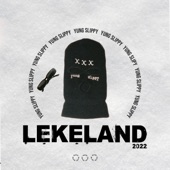 Lekeland 2022 artwork