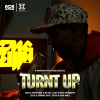 Turnt Up - Single - MC Bijju