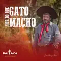 Baitaca