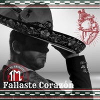 Fallaste Corazón - Single - Temo Marquez